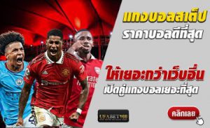 สอนแทงบอลออนไลน์